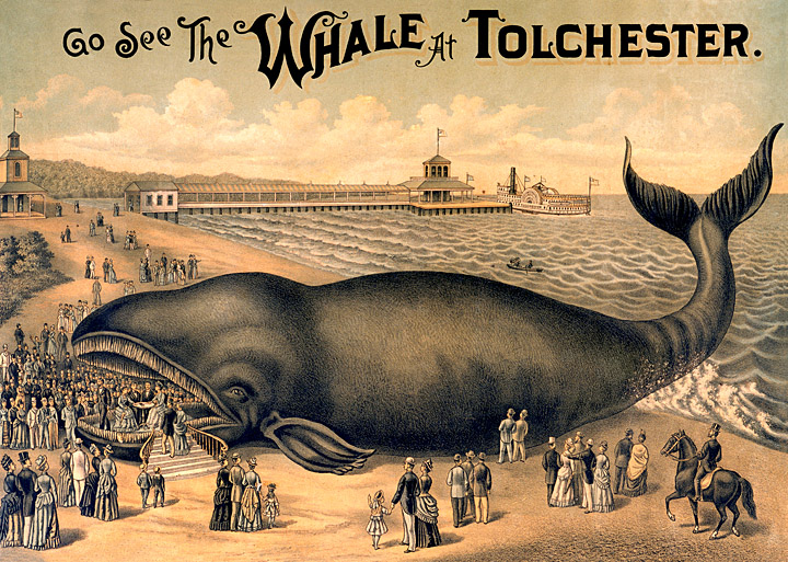 "Go See the Whale at Tolchester", lithograph by R.H. Eichner & Company, 1889, Large Prints, Maryland Historical Society.